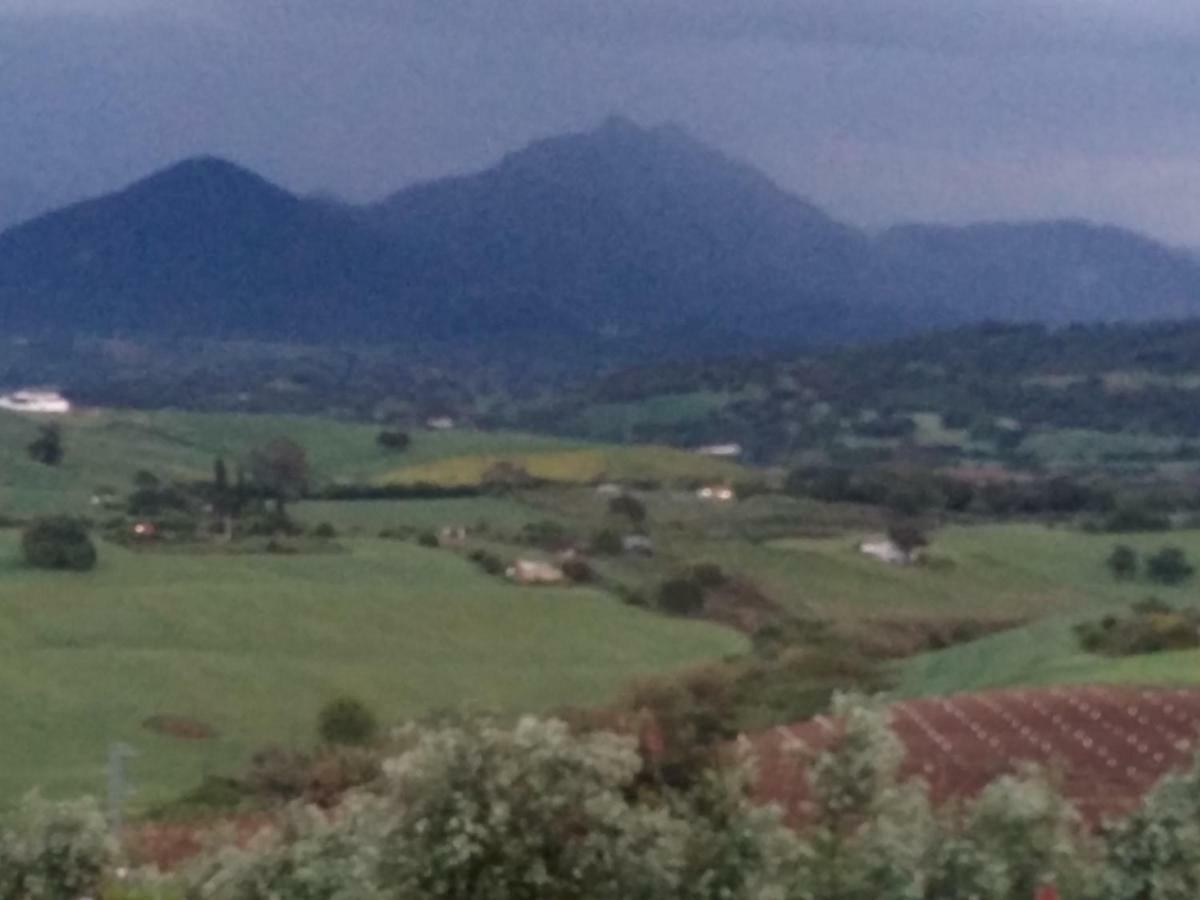 Los Tres Picos Prado Del Rey Eksteriør billede